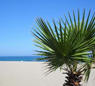 Am Meer in Argelès-Plage