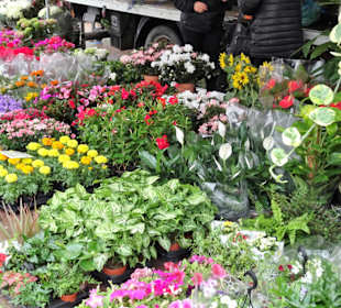 Eindrücke vom Wochenmarkt Nuoro