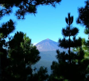 Teide