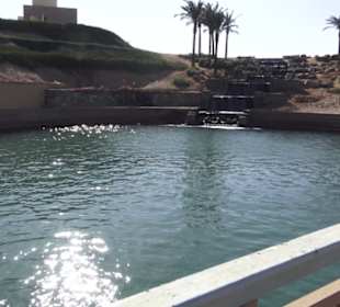 Stadtrundgang El Gouna