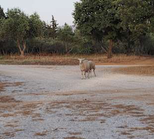 Wandern Georgioupolis