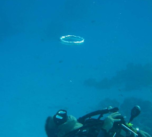 Da staunen sogar die Fische!