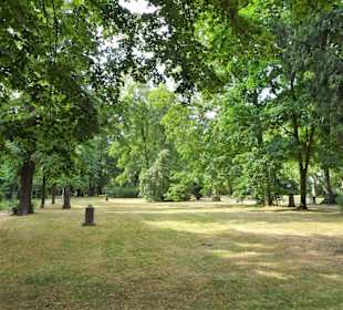 Spaziergang über den Golzheimer Friedhof