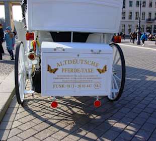 Das Brandenburger Tor Kutschen