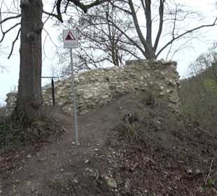 Rusenschloss