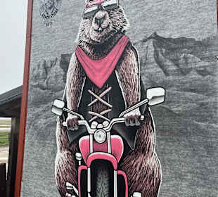 Badlands Ranch Store