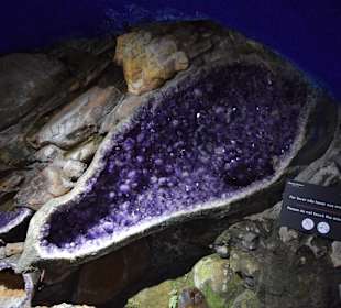 Mineraliensammlung im Park