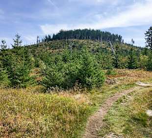 Wandergebiet Großer Arber