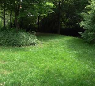 Krügerpark