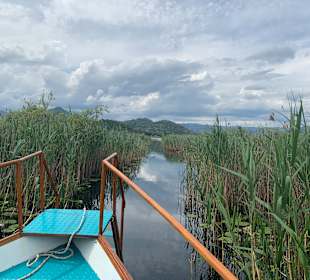 Impressionen von der Bootsfahrt am  Skadarsee
