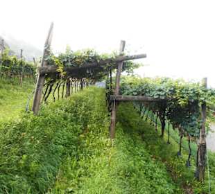 Blick von Schloss Runkelstein