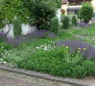 Bürgerhaus Riederich