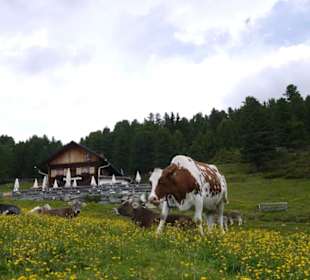 Feldringalm Sommer