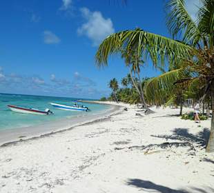 Saona Tortuga Strand