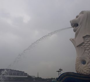Merlion MBS