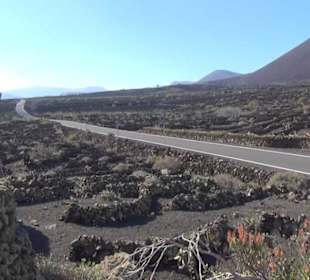 Parroquia San Francisco Javier 