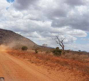 Tsavo Ost und West Safari