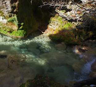 Горный нацпарк Истоки реки Уредерра, Наварра