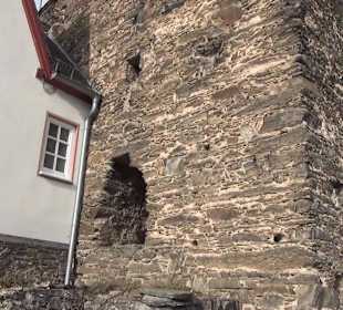 Burg Rheinfels