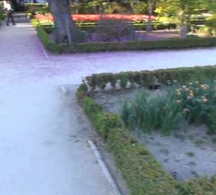 Real Jardín Botánico de Madrid