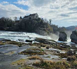 Rheinfall mit Schloss Laufen im Hintergrund