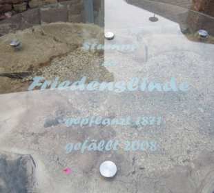 Kirche St. Alban Friedenslinde