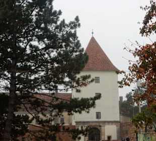 Vorbei am Schloss Nadasdy