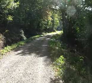 Wanderung Kirnberg-Runde Bebenhausen