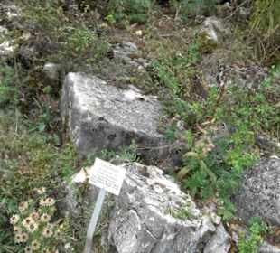 Schwäbische Alb
