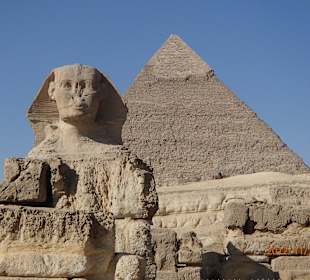 Der Sphinx