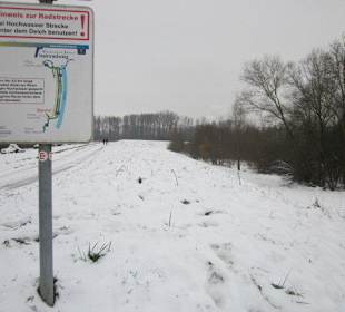 Am Rheindamm im Winter