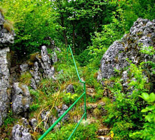 Auf-Abstieg Adlerstein Panorama