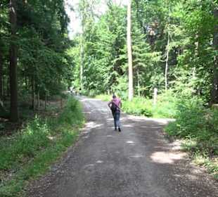 Wanderweg Märchensee Runde