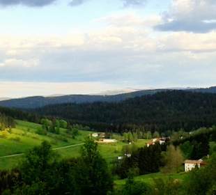 Wandern Mitterfirmiansreut 