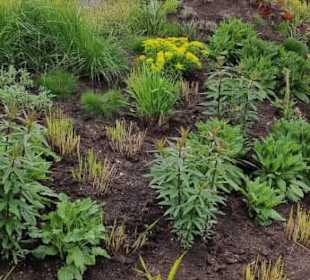 Hügellandschaften verschieden