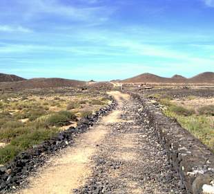 Wanderweg auf Lobos