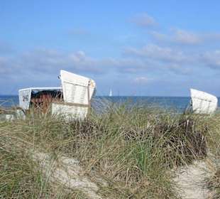 Strandkörbe