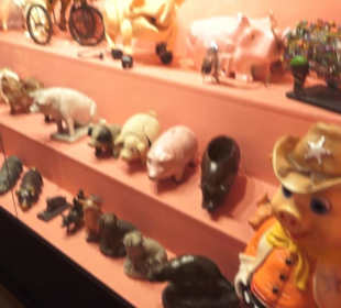 SchweineMuseum