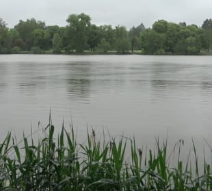 Stadtsee
