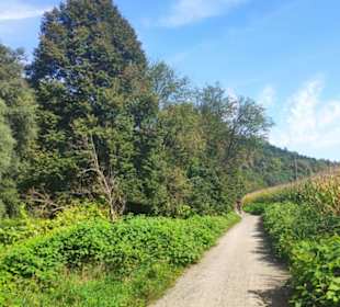 Wanderweg an der Sulm entlang