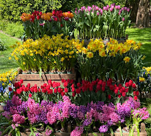 Gartenanlage