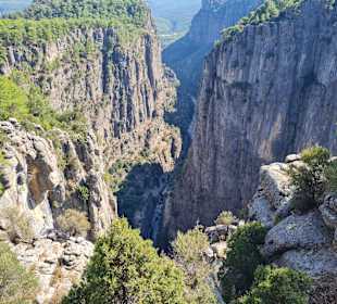 Adler Canyon Tour