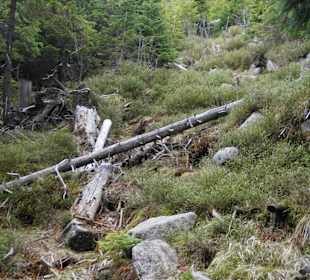 Berg Schneekoppe/Śnieżka