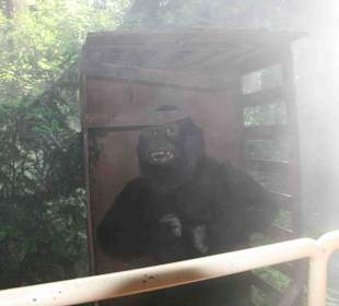 Serengeti Park Hodenhagen