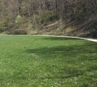 Waldlehrpfad an der Lauter