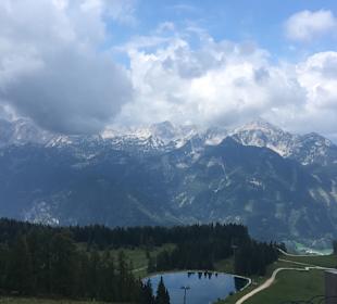 Hutterer Höss