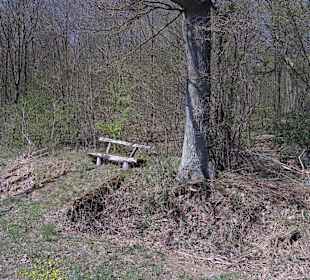 Mehrere Ruhebänke am Weg - doch kein Bierzapfhahn