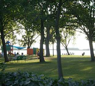 Liegewiese