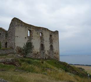  Brahehus