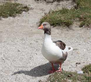 Озеро Курнас 